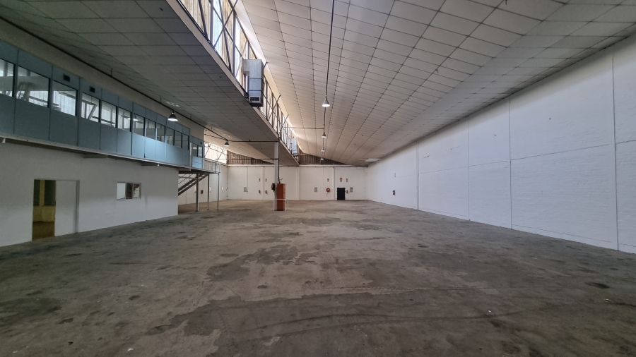 To Let commercial Property for Rent in Beaconvale Western Cape